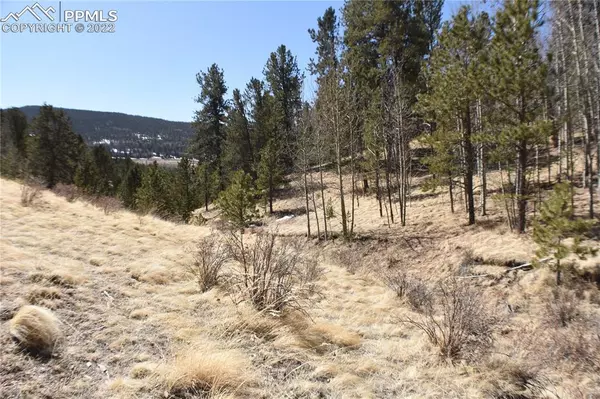 Cripple Creek, CO 80813,212 Wolftone DR