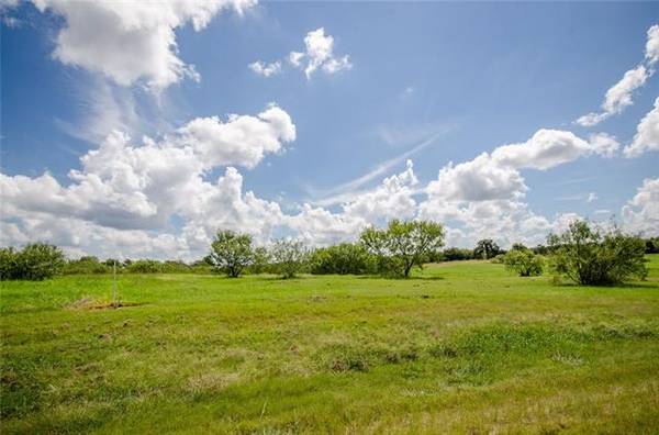 L 128 Lake Vista Drive, Streetman, TX 75859