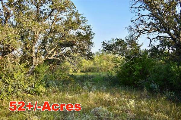 4600 County Road 116, Brady, TX 76825