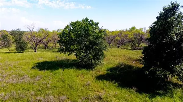 Graham, TX 76450,TBD1 Medlan Chapel Road