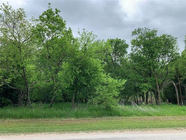 Lot 1A E Calhoun Street, Rice, TX 75155