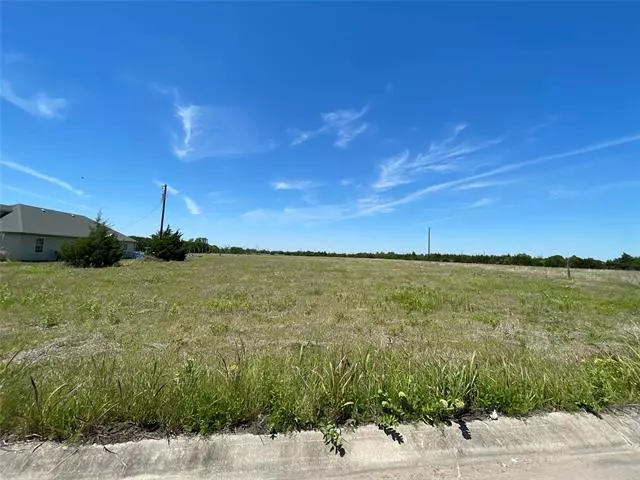 1541 Raintree Drive, Lancaster, TX 75146