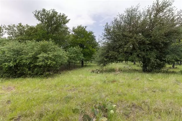 Chico, TX 76431,226 Ridgeline Drive