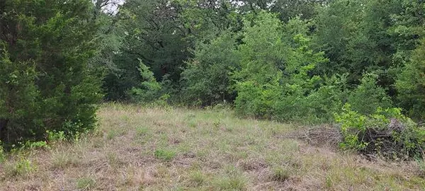 Aledo, TX 76008,Lot 8 Windmill Road