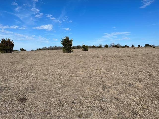 Farmersville, TX 75442,TBD Lot 4 County Road 703