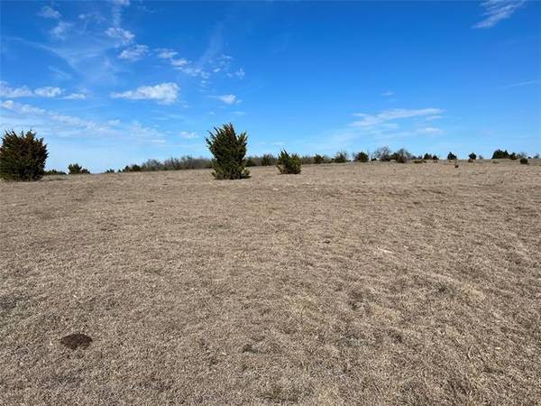 TBD Lot 4 County Road 703,  Farmersville,  TX 75442