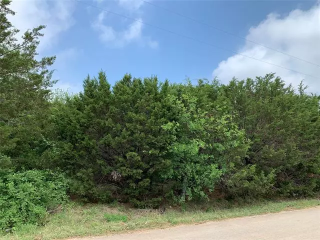 2602 San Gabriel Drive, Granbury, TX 76048