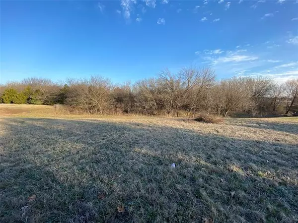 Frisco, TX 75035,16050 Custer Trail