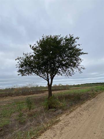 TBD CR 1280 SE, Streetman, TX 75848