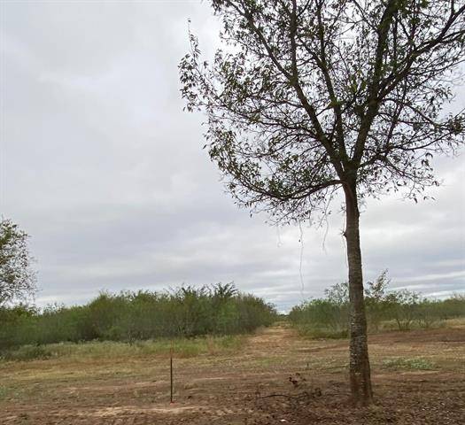 TBD CR 1280, Streetman, TX 75848