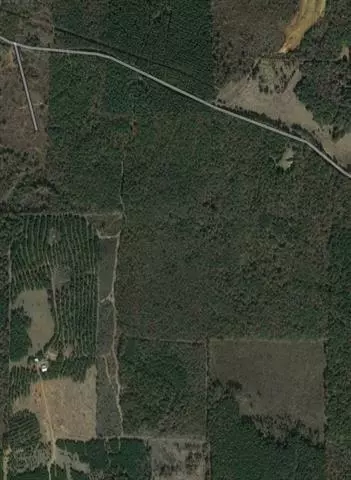 Plain Dealing, LA 71064,0 Martin