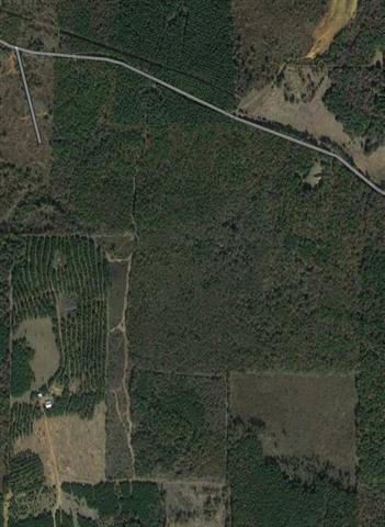 0 Martin, Plain Dealing, LA 71064