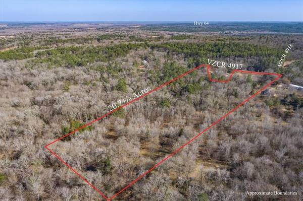 201 Vz County Road 4917, Ben Wheeler, TX 75754