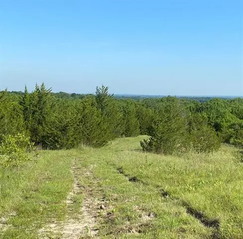 Bells, TX 75414,TBD 25 Pink Hill Road