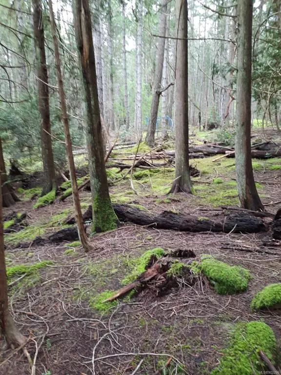 Mudge Island, BC V0V 0V0,Lot 89 Sockeye Dr