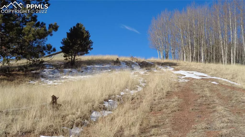 TBD Yorktown RD, Cripple Creek, CO 80813