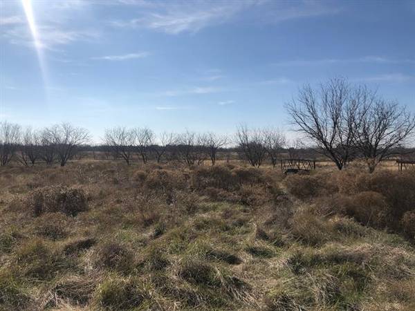 TBD Hcr 2128 #TR. 1, Whitney, TX 76692