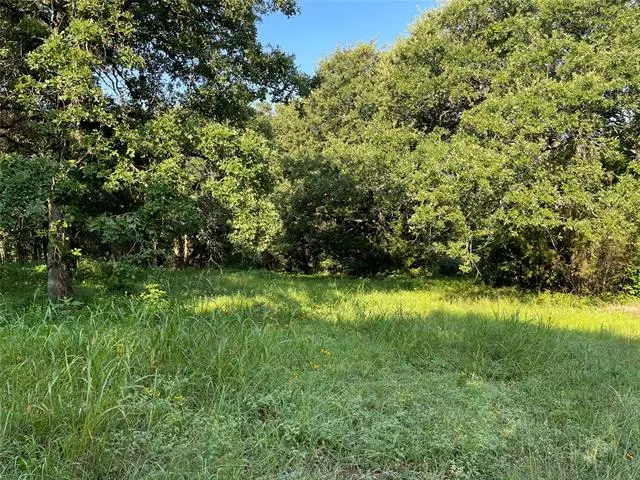 Lot 1 Anderson Road, Whitesboro, TX 76273