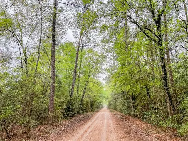 Kountze, TX 77625,0 Bragg Road