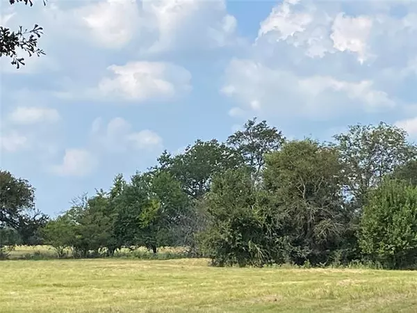 Sulphur Springs, TX 75482,000-4 County Road 4769