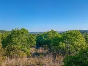 Bluff Dale, TX 76433,770 Compass Way