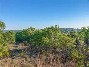 Bluff Dale, TX 76433,770 Compass Way