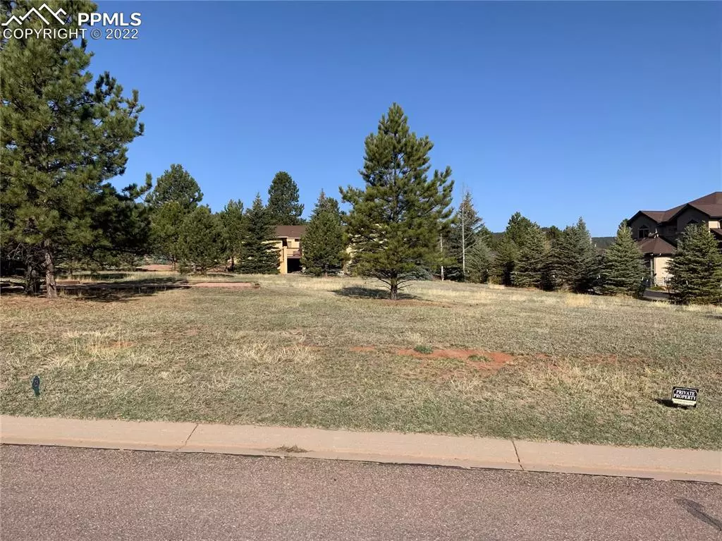 Woodland Park, CO 80863,210 Eagle Pines DR