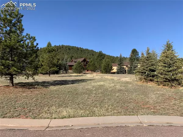 Woodland Park, CO 80863,210 Eagle Pines DR