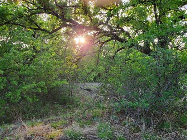 Lot 270 Whispering Oaks Trail, Sunset, TX 76270