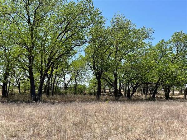 TBD FM 572, Goldthwaite, TX 76844