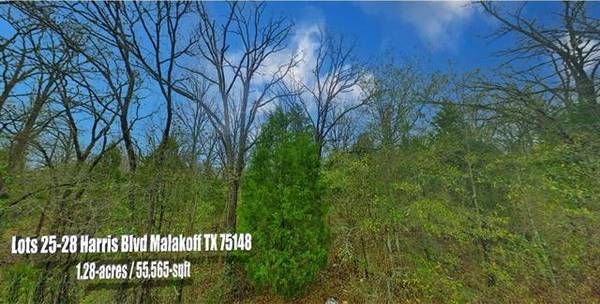 Lots 25-28 Harris Boulevard, Malakoff, TX 75148