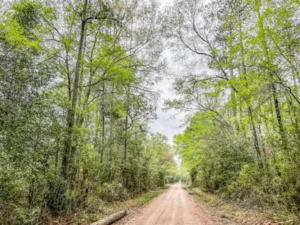 Kountze, TX 77625,0000000000 Bragg Road