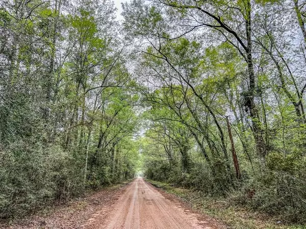 Kountze, TX 77625,0000000000 Bragg Road