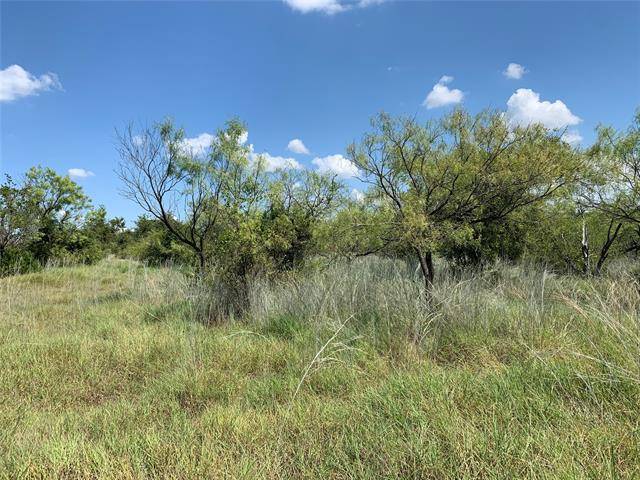 309 RED ROAN Ridge, Brock, TX 76087