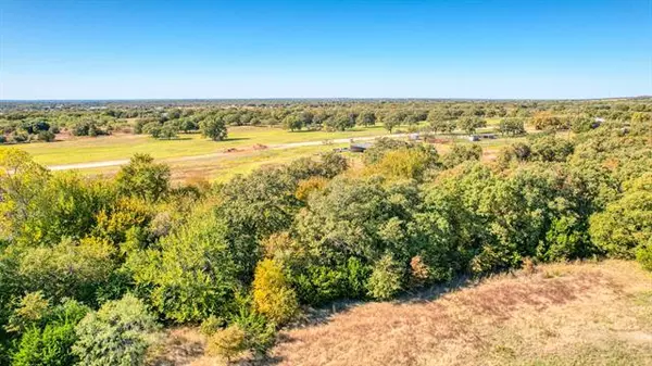 Poolville, TX 76487,TBD 27 Leo Lane