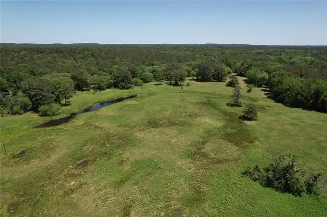 55 Acres County Road 3180, Winnsboro, TX 75494