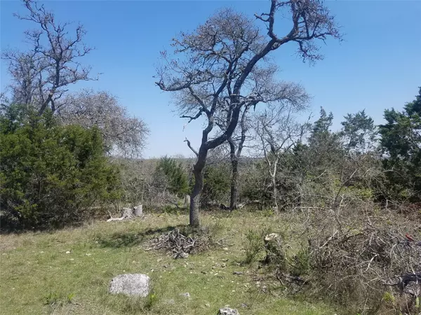 Fredericksburg, TX 78624,TBD Point Road