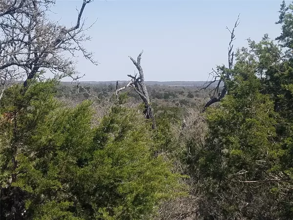 Fredericksburg, TX 78624,TBD Point Road