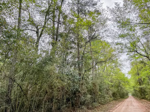 Kountze, TX 77625,00000 Bragg Road