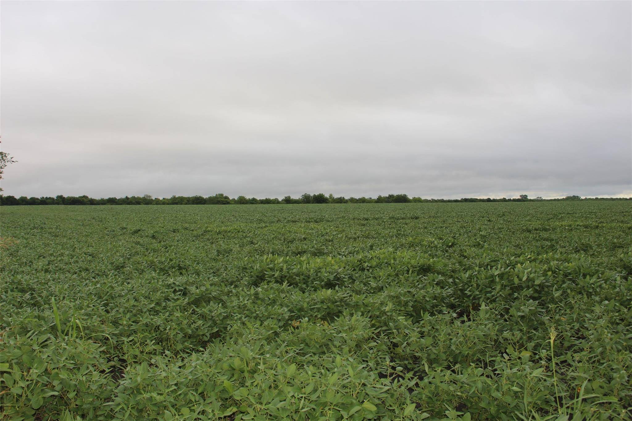 Pecan Gap, TX 75469,TBA FM 904 ES