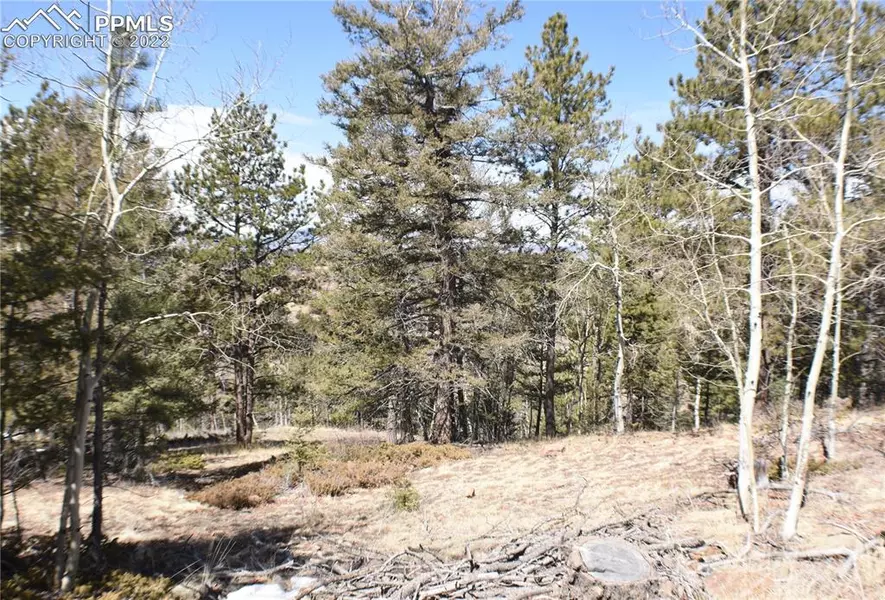 555 Stratton CIR, Cripple Creek, CO 80813