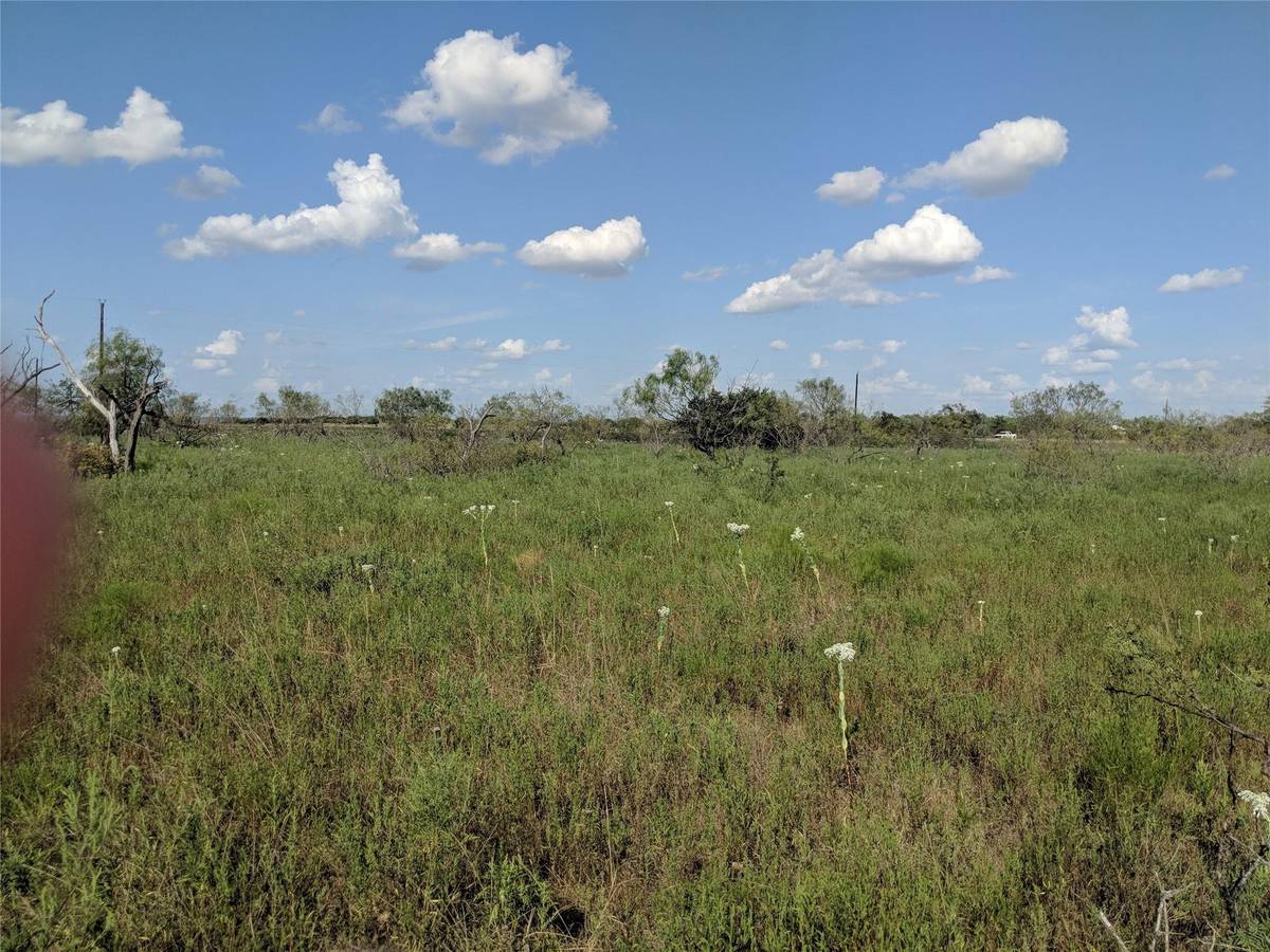 Jonesboro, TX 76538,TBD HWY 36 E. Tract 2