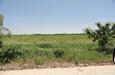 Tuscola, TX 79562,98+ AC CR 1086