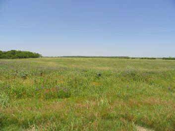 Tuscola, TX 79562,98+ AC CR 1086