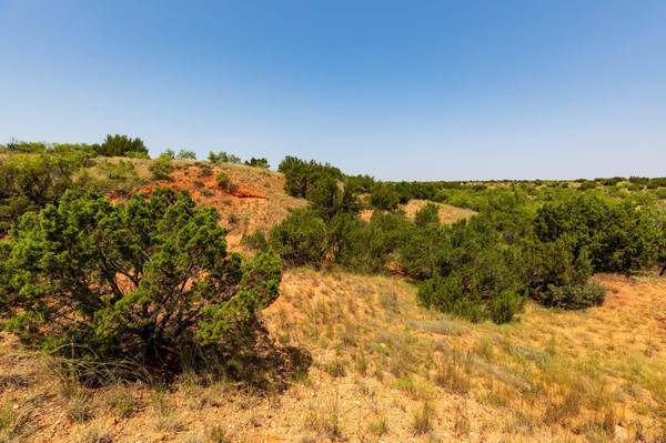 Aspermont, TX 79502,TBD CR 349