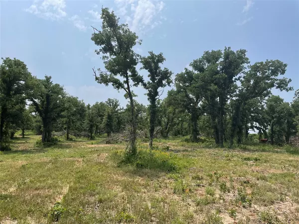 Poolville, TX 76487,TBD CR 5821 Road