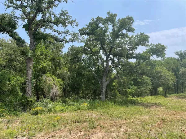 Poolville, TX 76487,TBD CR 5821 Road