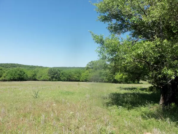 Decatur, TX 76234,#1 11.001 ac County Road 2750