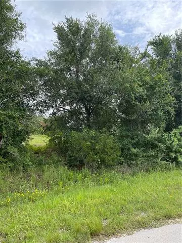 Lehigh Acres, FL 33972,1970 Quintero LN