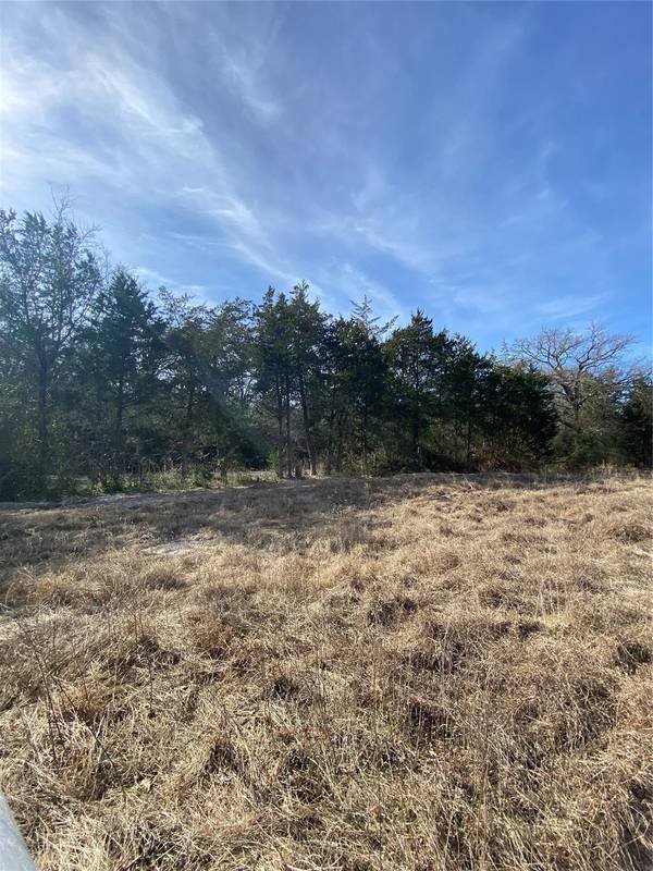 Lot 1 Farm Road 269 S, Saltillo, TX 75471